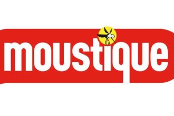 moustique logo