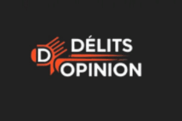 delits d opinion