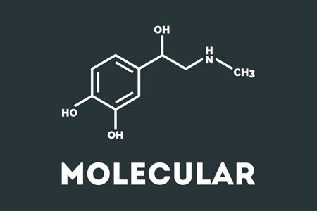 lolecular.jpg