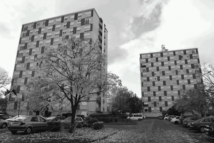 murat prendre loseille