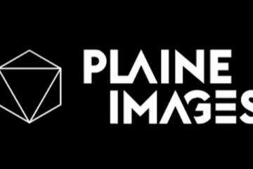 paline images logo