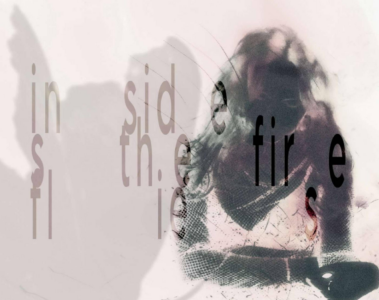 The Fireflies