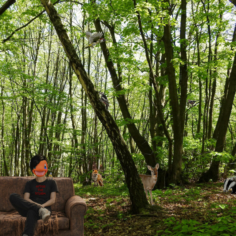 Calameche