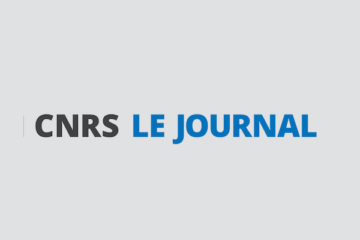 cnrs le journal le logo