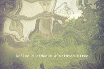 LOKI X GLUANT Drôles d'oiseaux & tristes sires