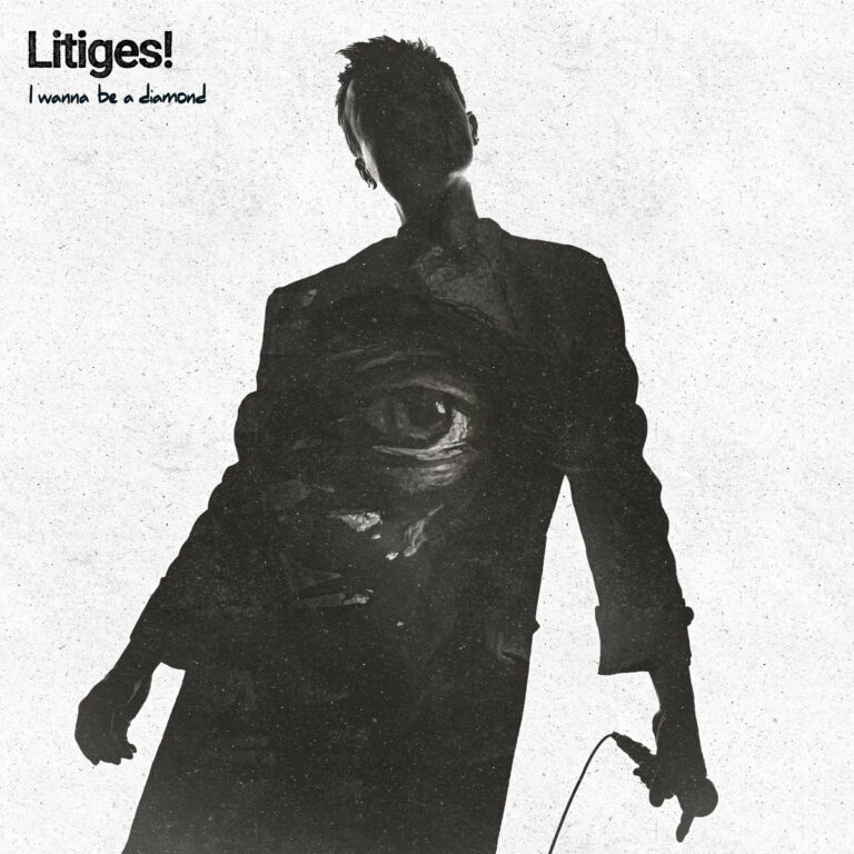 Litiges